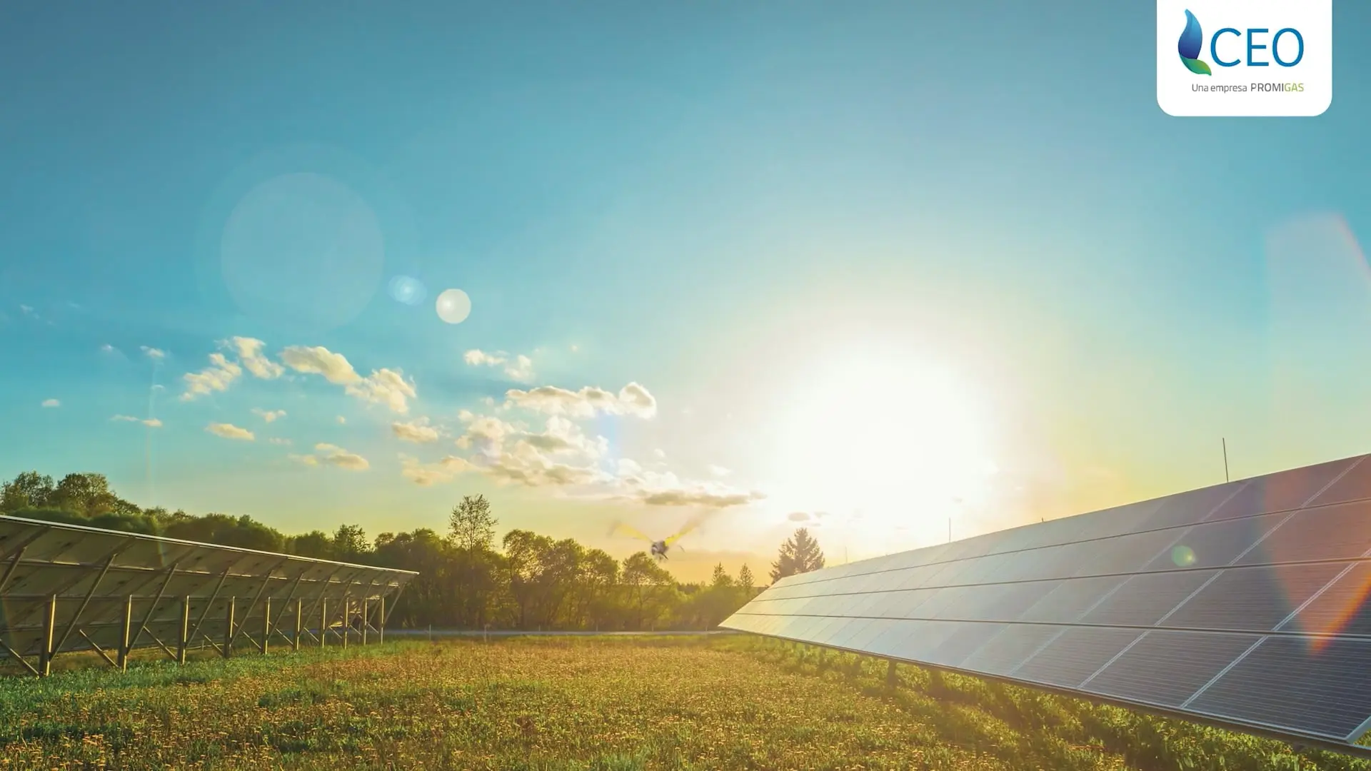 Spot Energía Solar ✧ CEO