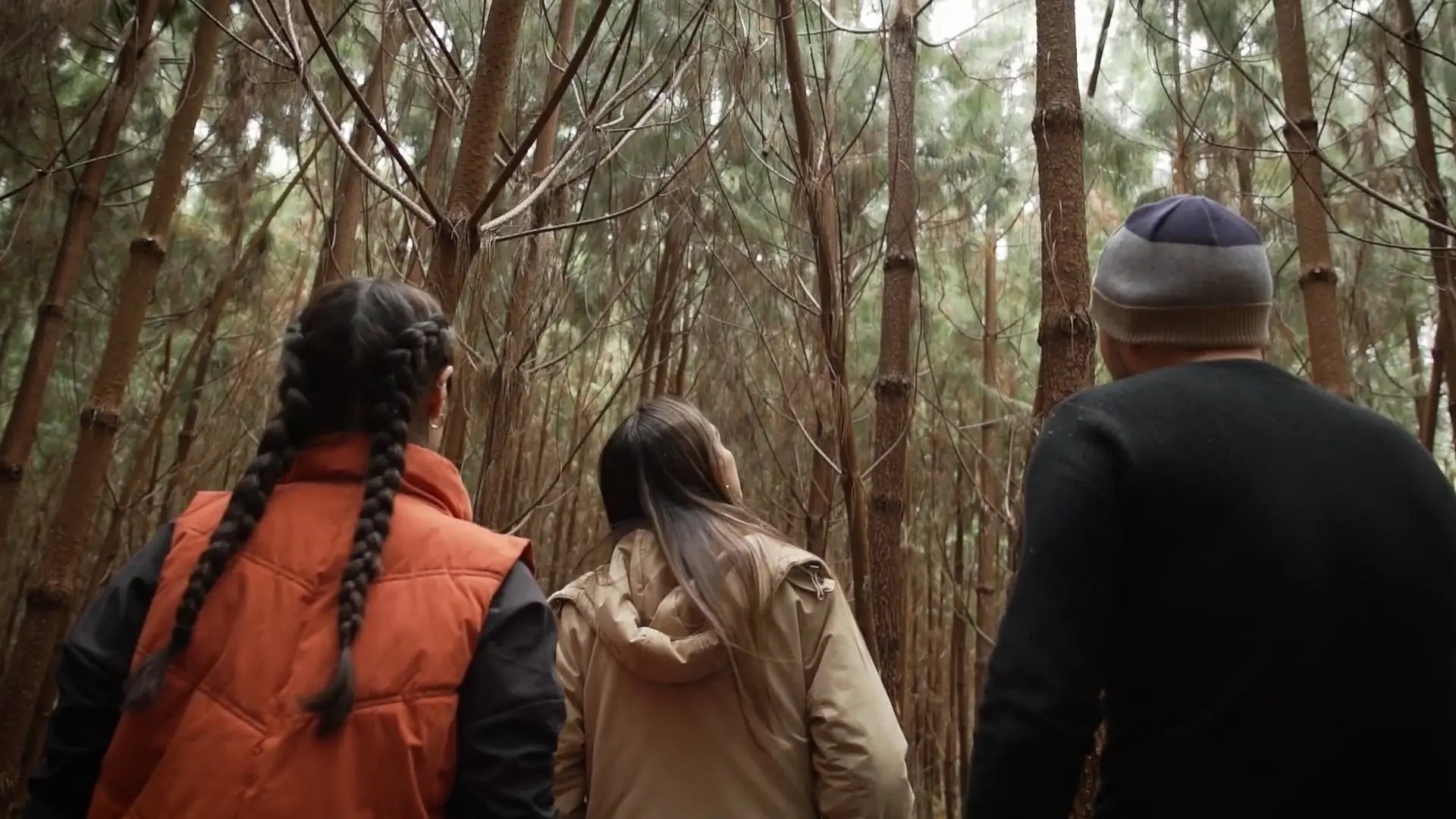 Vive la experiencia ✧ CEO